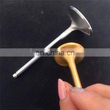 New Discount Automotive Spare Parts Diesel Engine Valve For Asia Topic Towner 2009-2010 photo-7