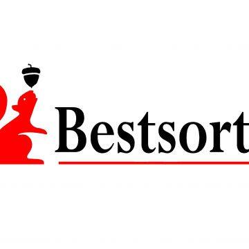 Hebei Bestsort Machinery Technology Co., Ltd.