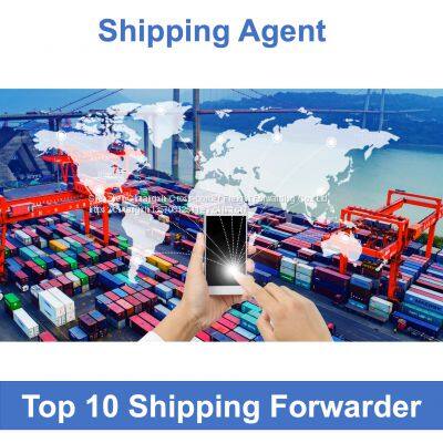 Air Freight Agent/forwarder China Shipping Consolidator to Canada Australia Amazon photo-3