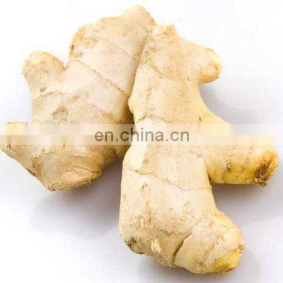 year round ginger fresh origin frozen ginger