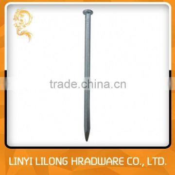 Galvanized Decorative Floor Nail