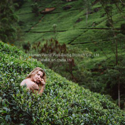 Green Tea Extract (30%-98% Tea Polyphenols) photo-2