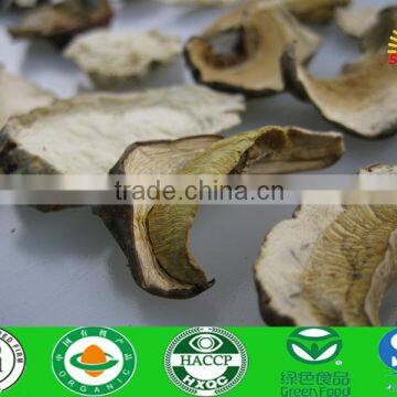 White boletus edulis mushroom