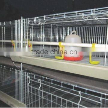 poultry chicken battery cage for nigerian farm