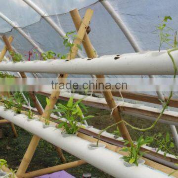 DIY aquaponic system