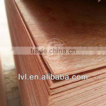 3.6mm bingtangor plywood made in china