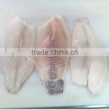 Frozen Tilapia fillet fish