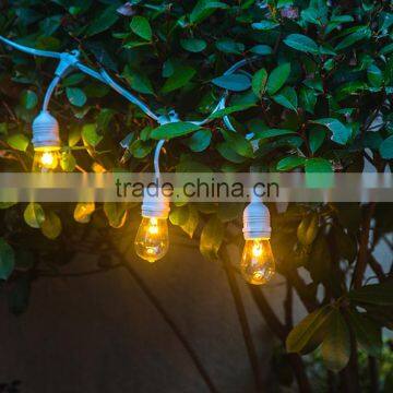 Outdoor Christmas Laser Lights 110V 10 Socket Outdoor String Lights