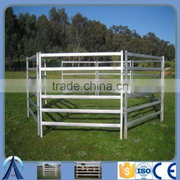 Factory Direct Australia standard High quality Pre-galvanized steel rails Cattle fence panels