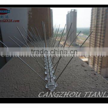 Control birds, bird Spike, Stainless Steel Bird Spike---TLD5005W5-50                        
                                                Quality Choice