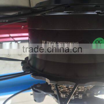 Rear Wheel Motor Mountain Electric Bike Chinese Fat Tire Bike photo-6