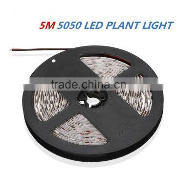 DC12V 300CM 60led/mSMD5050 Flexible Plant Growing Led Strip Light photo-2