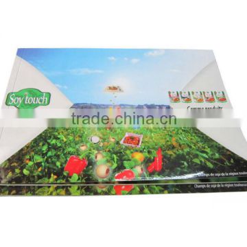 Organic fruits advertising paper flyer printing