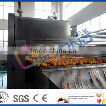 orange brusher fruit cleaning machine