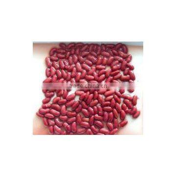 Canned Red Kidney Beans 400g