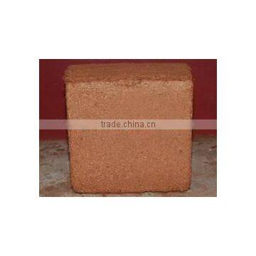 Organic coco peat block