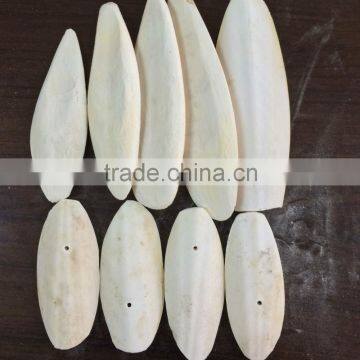 Hai Piao Xiao High Quality Dried Cuttlefish Bone photo-3