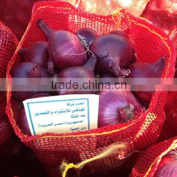 Fresh Red Onion , High quality , Season 2016, From Egypt