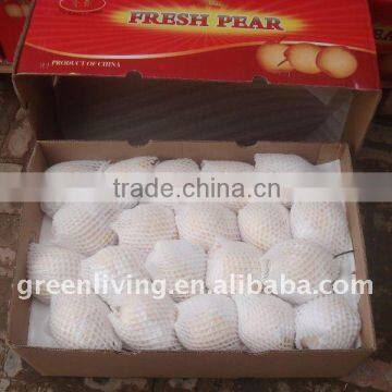 chinese best fresh ya pear (fruits)