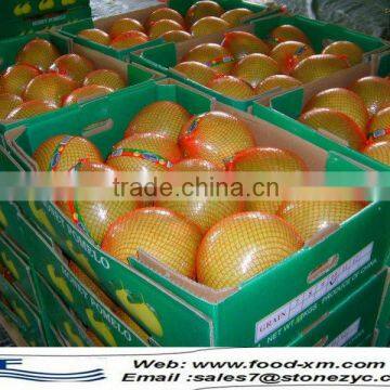 juicy sweet pomelo shaddock for sale