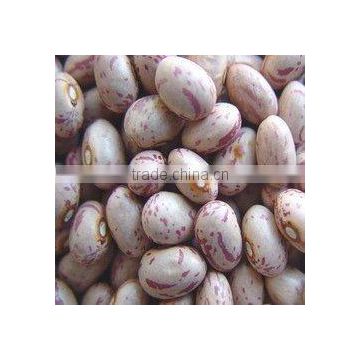 Light speckled kidney beans