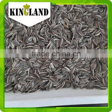 Sunflower seeds specification