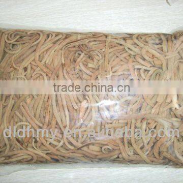 supply for boiled cinnamon fern plant