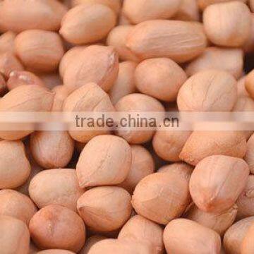 High Quality Peanuts at best price