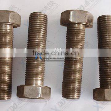 Alloy X- 750 / GH 4145 Alloy718 / GH4169 Stainless Steel Fasteners Hex Bolt