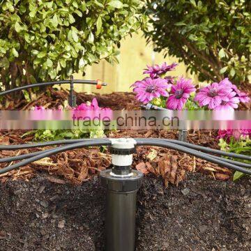 China pawpaw tree drip pipe irrigation for orchard