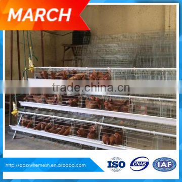 egg layer cage used for chicken breeding in poultry house