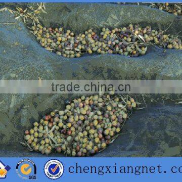 low price of the HDPE olive harvest net