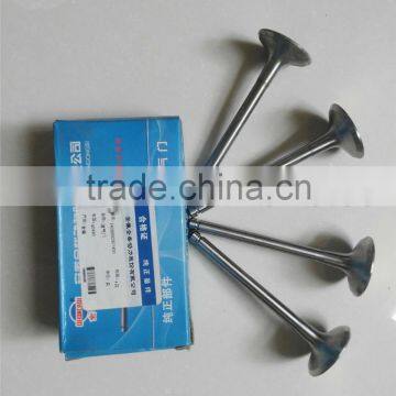 Intake valve 2409500301400(QC495)