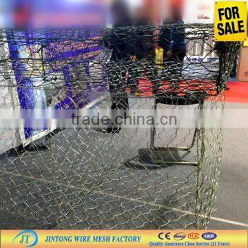 hexagonal mesh fabric/ PVC coated chicken wire mesh (ISO9001 Manufacturer )