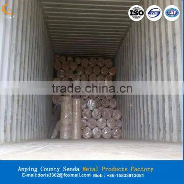 5x5 Welded Wire Mesh photo-2