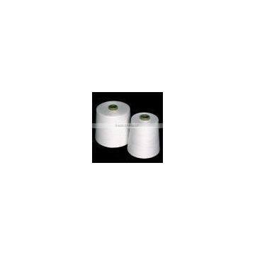 Indian contamination controlled cotton Ne 3/10 yarn yarn twine