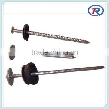 Roofing Nails Umbrella Head Galvanized Twisted Shank&BWG 8-13 Low Carbon Umbrella Head Polishing Galvanized Roofing Nail photo-2