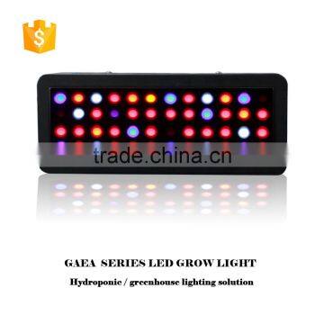 Full Spectrum Hydroponic Greenhouse LED Grow Light photo-4