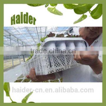 Hot high quality 28 hole white plastic PP cactus nurseries