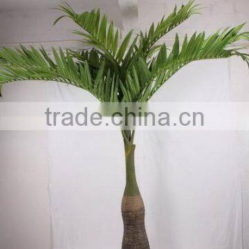 SJ2001205 Home Indoor Using Cocount Plam Tree Factory Outlet photo-5