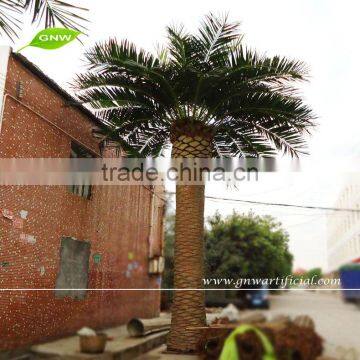 APM030 GNW Large Plastic Artificial Palm Trees for Home Decor photo-2