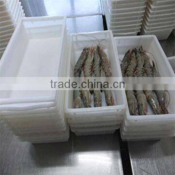 frozen shrimp and seafood delivery