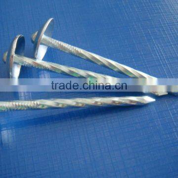 Galvanized Umbrella Head Roofing Nails in Fasteners photo-6