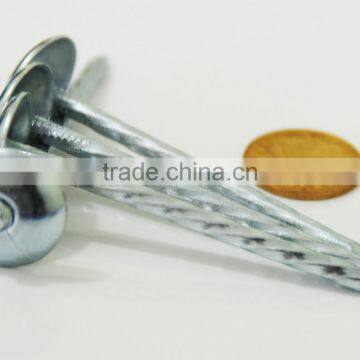 Cheap Umbrella Roofing Nails/umbrella Head Roofing Nail