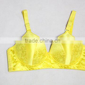 2016 NEW! Sexy printing style ladies bra for Panama market