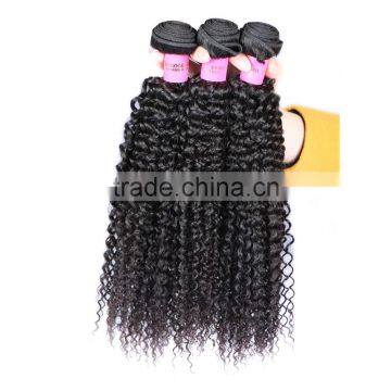 Wholesale Virgin Hair Vendors Fast Shipping Malaysian Curly Hair photo-3
