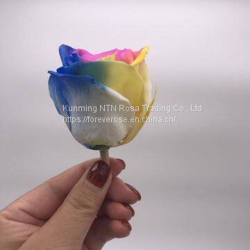 Preserved Rose Preserved Flowers Dried Flowers Birthday Valentine Party Wedding photo-2