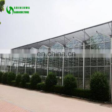 Industrial Glass Greenhouse In China