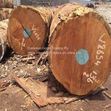 Cheap Kosso / Sapelli / Tali / Teak / Pachyloba Wood Logs photo-3