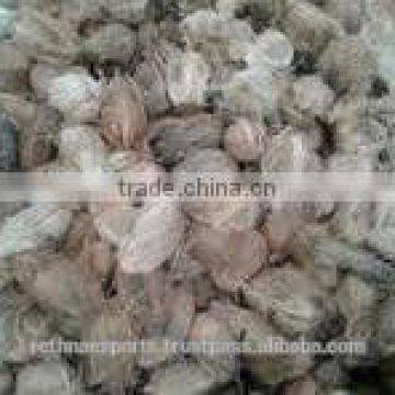 Coconut From 500gms to 600gm photo-2